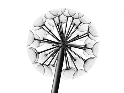 Фонарь уличный Данди 3м/800 (комплект)